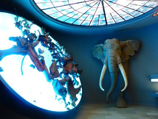 Halle State Museum of Prehistory